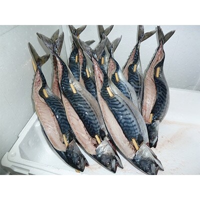 【雲南名物】焼き鯖2本入り