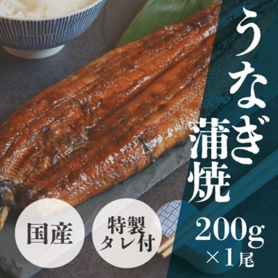 国産・活うなぎ蒲焼(200g×1尾、特製タレ付き)大サイズのうなぎを1尾丸ごとお届け