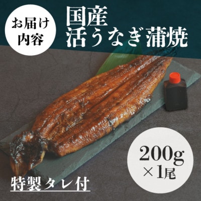 国産・活うなぎ蒲焼(200g×1尾、特製タレ付き)大サイズのうなぎを1尾丸ごとお届け