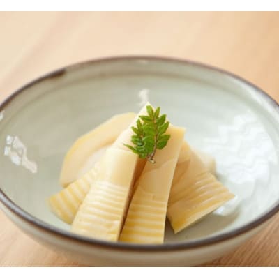 【紅梅しょうゆ】創業190年以上続く醤油店のうすくち醤油　500ml×2本セット