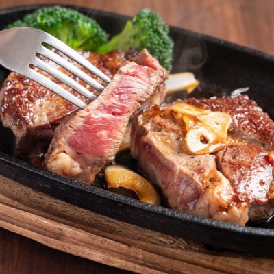 【紅梅しょうゆ】創業190年以上続く醤油店の「ヴィンテージステーキソース」　150ml×1本