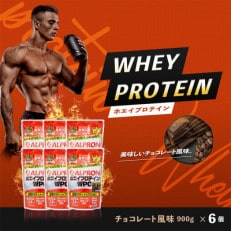 ALPRON WPC プロテイン チョコレート風味セット(900g×6個)