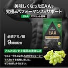 ALPRON PRO EAA アミノ酸 マスカット風味 840g×1個