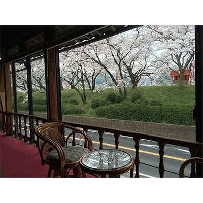 日本庭園の老舗旅館「天野館」宿泊券(1名様・1泊お食事なし)