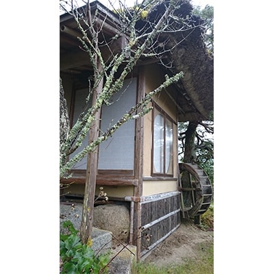 日本庭園の老舗旅館「天野館ペア」宿泊券(2名様1泊・朝食、夕食付)