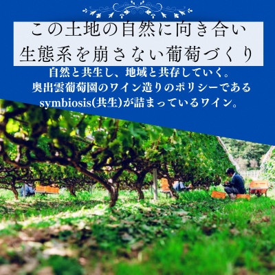 杜のワイン赤2本・白2本 計ワイン4本セット　辛口赤ワイン 辛口白ワイン 飲み比べ
