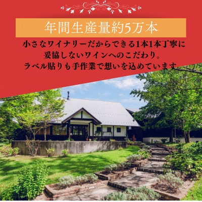 杜のワイン赤2本・白2本 計ワイン4本セット　辛口赤ワイン 辛口白ワイン 飲み比べ