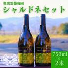 シャルドネ(白ワイン)750ml× 2本セット 辛口