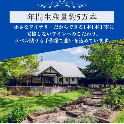 杜のワイン白(辛口)・木次乳業チーズ4種詰め合わせセット