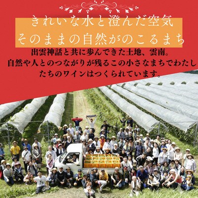 杜のワイン赤(辛口)・木次乳業チーズ4種詰め合わせセット
