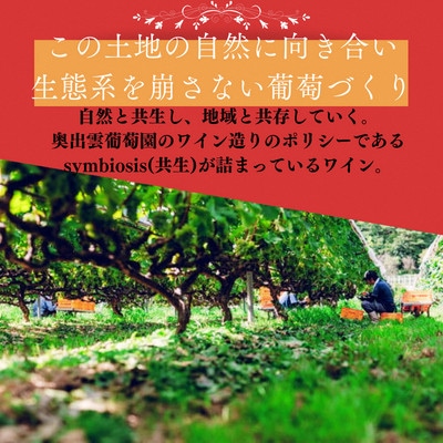 杜のワイン赤(辛口)・木次乳業チーズ4種詰め合わせセット