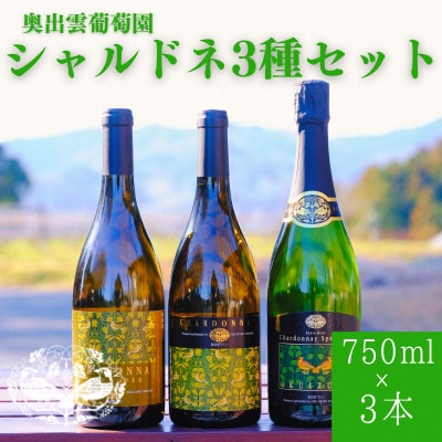 シャルドネ(白ワイン 辛口)3種セット 750ml×3本 飲み比べ