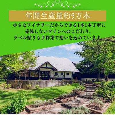 シャルドネ(白ワイン 辛口)3種セット 750ml×3本 飲み比べ