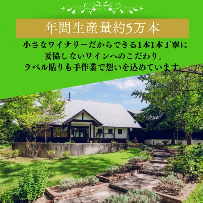 シャルドネ(辛口白ワイン)・杜のワイン赤(辛口赤ワイン) 750ml×2本セット ギフト包装