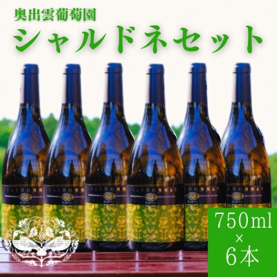 シャルドネ(白ワイン)750ml×6本セット 辛口