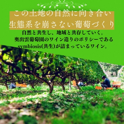 シャルドネ(白ワイン)750ml×12本セット 辛口