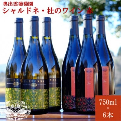 シャルドネ750ml×3本・杜のワイン赤750ml×3本　辛口白ワイン辛口赤ワイン　飲み比べ