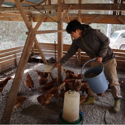 平飼い鶏の卵黄使用　のんびりまよねーず3本セット(オリジナル・檸檬胡椒・ガーリック)