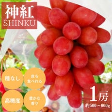 【2023年8月より順次発送】【神話の国しまね】産地直送 種なし葡萄 神紅 1房 500～600g