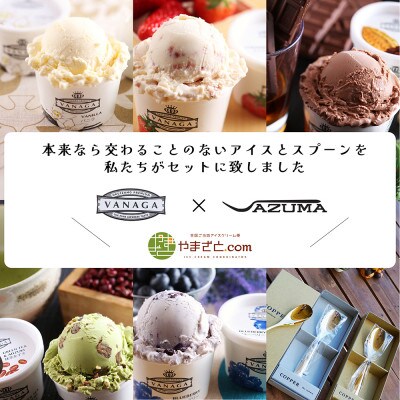 VANAGAプレミアムご当地アイス12個とアイス専用スプーン(シルバー1本)の13点セット