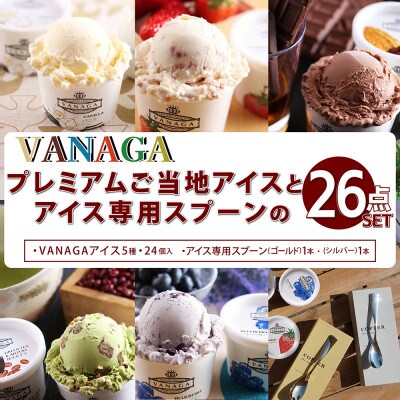 VANAGAプレミアムご当地アイス24個とアイス専用スプーン(ゴールド1本・シルバー1本)の26点