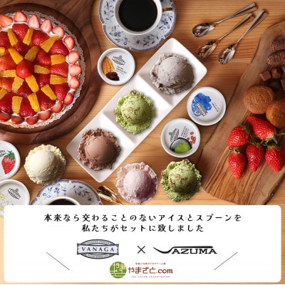 VANAGAプレミアムご当地アイス24個とアイス専用スプーン(ゴールド1本・シルバー1本)の26点