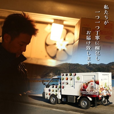 VANAGAプレミアムご当地アイス24個とアイス専用スプーン(ゴールド1本・シルバー1本)の26点