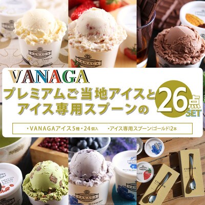 VANAGAプレミアムご当地アイス24個とアイス専用スプーン(ゴールド2本)の26点セット