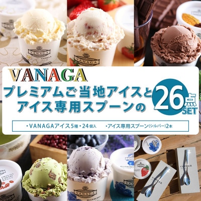 VANAGAプレミアムご当地アイス24個とアイス専用スプーン(シルバー2本)の26点セット