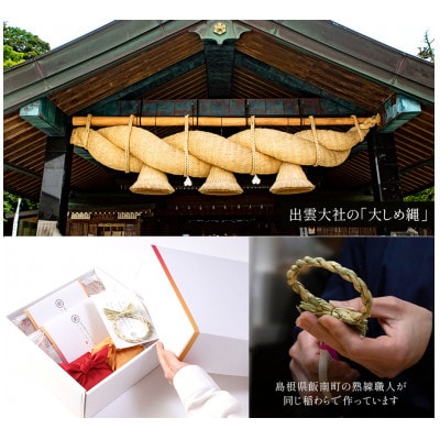 希少な奥出雲和牛100%のハンバーグ4個 和風玉ねぎソース付 【奥出雲NAORAI】(雲南市)