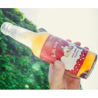 原料にこだわった手作りクラフトコーラ 250ml×6本セット