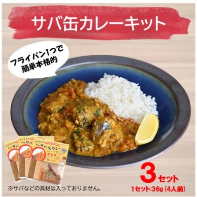 本格的カレーキット　サバ缶カレーキット(4人分)　3セット