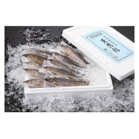 岐阜県 鮮魚 人気特産品おすすめランキング 週間 ふるさと納税サイト さとふる 岐阜県 鮮魚 人気特産品おすすめランキング 週間 ふるさと納税サイト さとふる