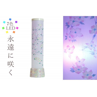 盆提灯 永遠に咲く 7色LED