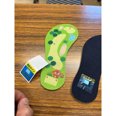 ゴルフ靴の中はいつも快晴!Animalキャディゴルフコースの湿気取り