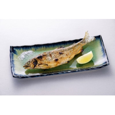 大鮎3種セット
