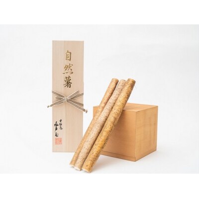 水戸屋の自然薯 桐箱入り