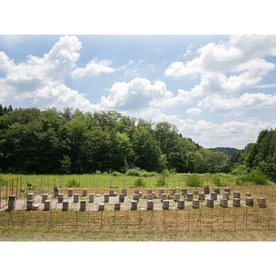 季節のはちみつボトルギフト