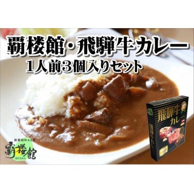 飛騨牛カレー レトルト 110個 セット