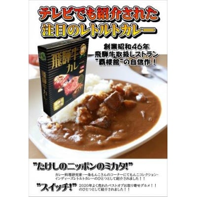 覇楼館・飛騨牛カレー1人前(250g)×3個セット