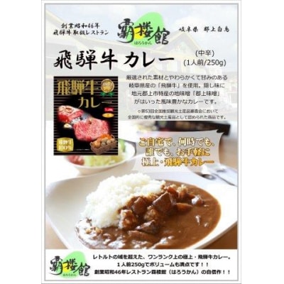 覇楼館・飛騨牛カレー1人前(250g)×3個セット