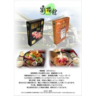 覇楼館・飛騨牛カレー1人前(250g)×3個セット