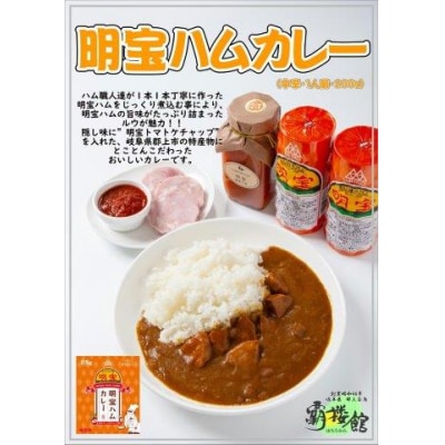 覇楼館・岐阜県ご当地カレー食べくらべセット