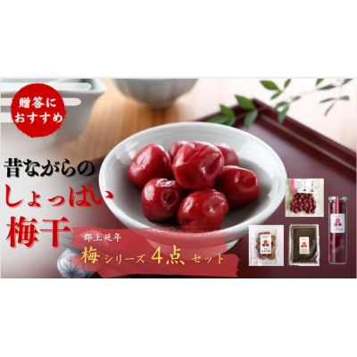 郡上延年梅セット