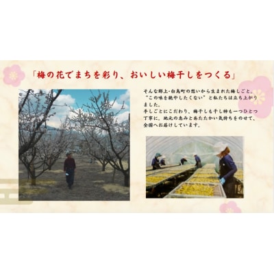 郡上延年梅セット