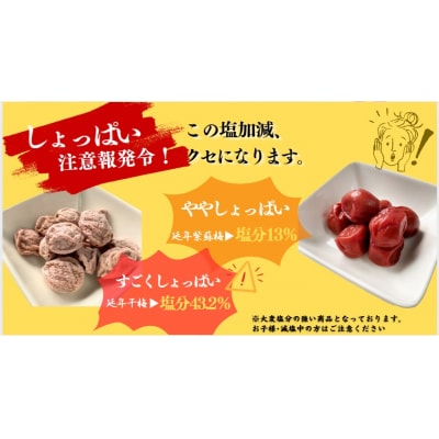 郡上延年梅セット
