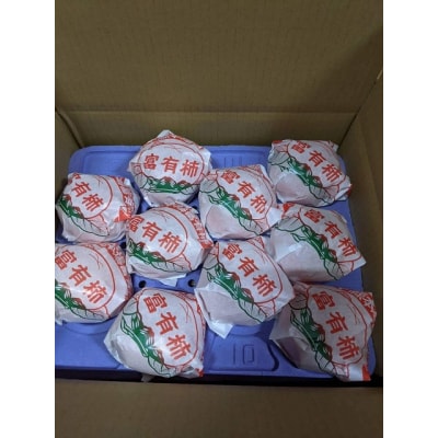 贈答用富有柿 3Lサイズ10個 約3.3kg 発祥の地岐阜県瑞穂市産
