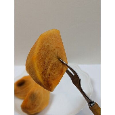 贈答用富有柿 3Lサイズ10個 約3.3kg 発祥の地岐阜県瑞穂市産