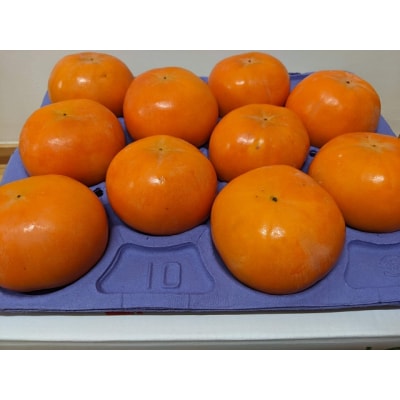 贈答用富有柿 3Lサイズ10個 約3.3kg 発祥の地岐阜県瑞穂市産