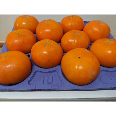 贈答用富有柿 3Lサイズ10個 約3.3kg 発祥の地岐阜県瑞穂市産